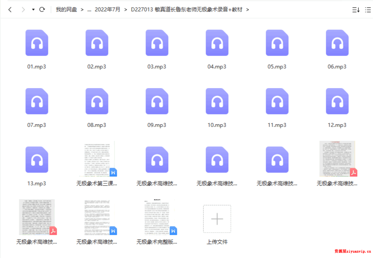 敏真道长鲁东老师无极象术录音 教材pdf1.png