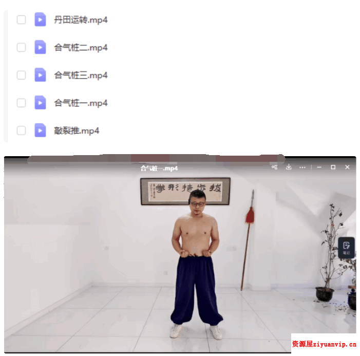 姜书洋 万千合气桩 敲裂推1.png