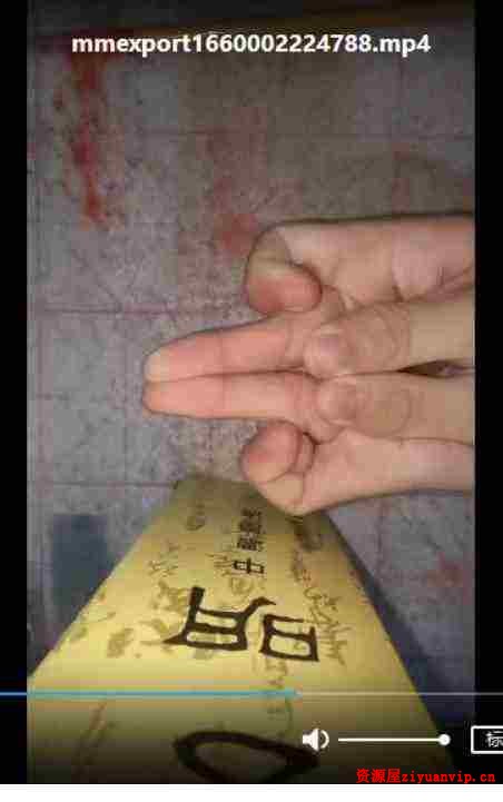 天师府家传元帅符（紫宸）6.jpg