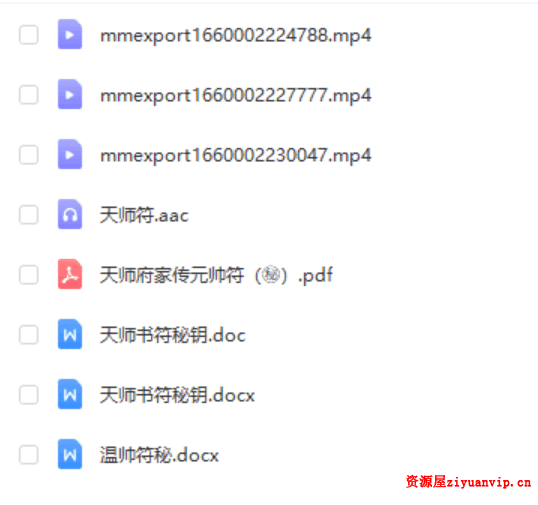 天师府家传元帅符（紫宸）1.png