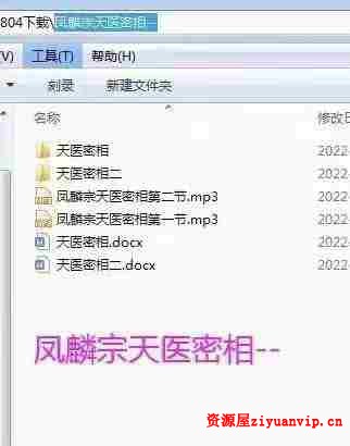凤麟宗 天医密相1.jpg