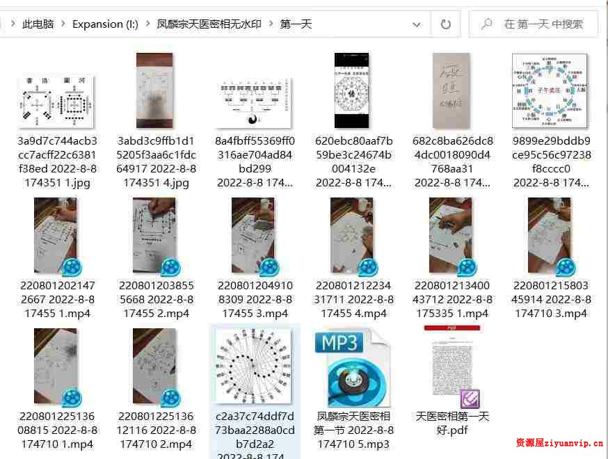 凤麟宗 天医密相2.jpg