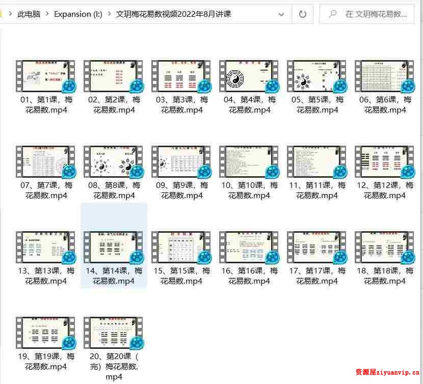 文玥梅花易数系统班 20集1.jpg